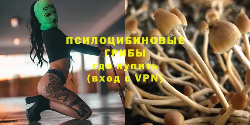 что такое   Братск  mega рабочий сайт  Псилоцибиновые грибы Psilocybine cubensis 